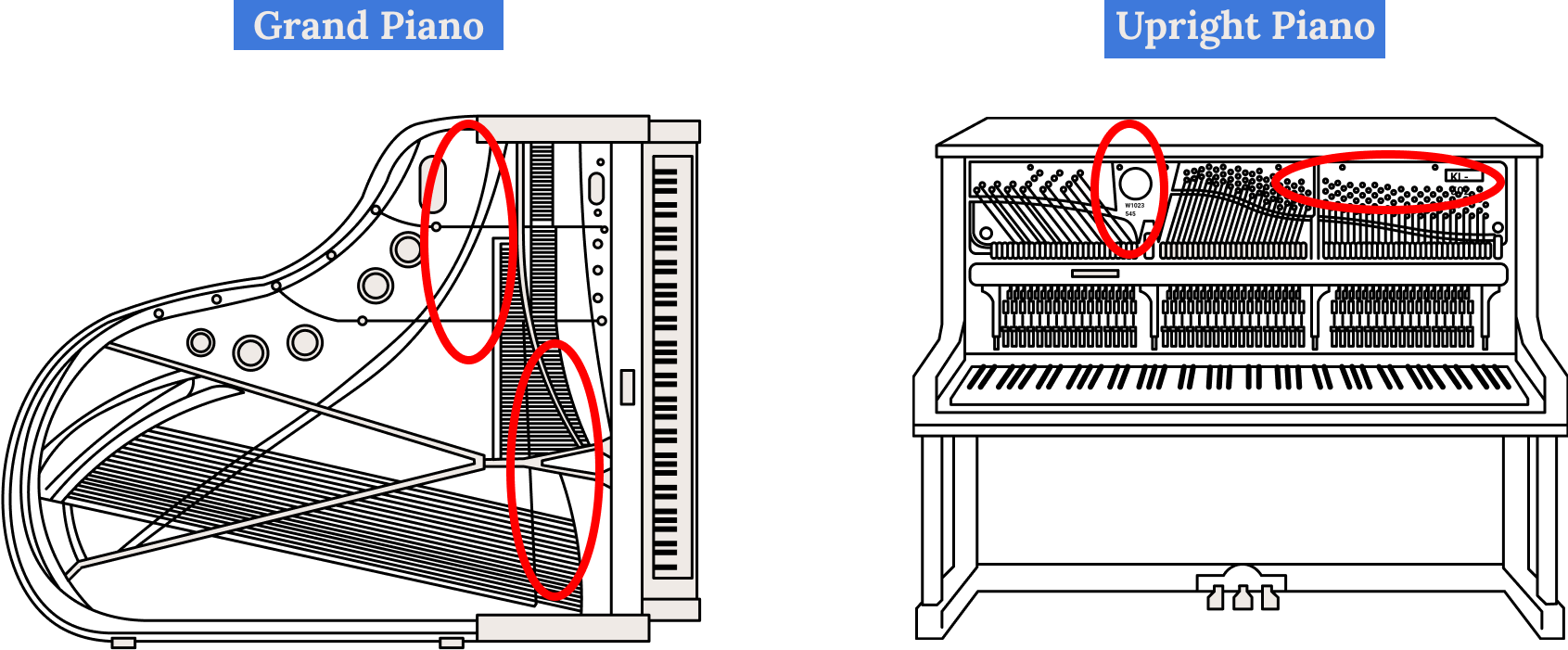 Shows where you can find the model number of your piano.